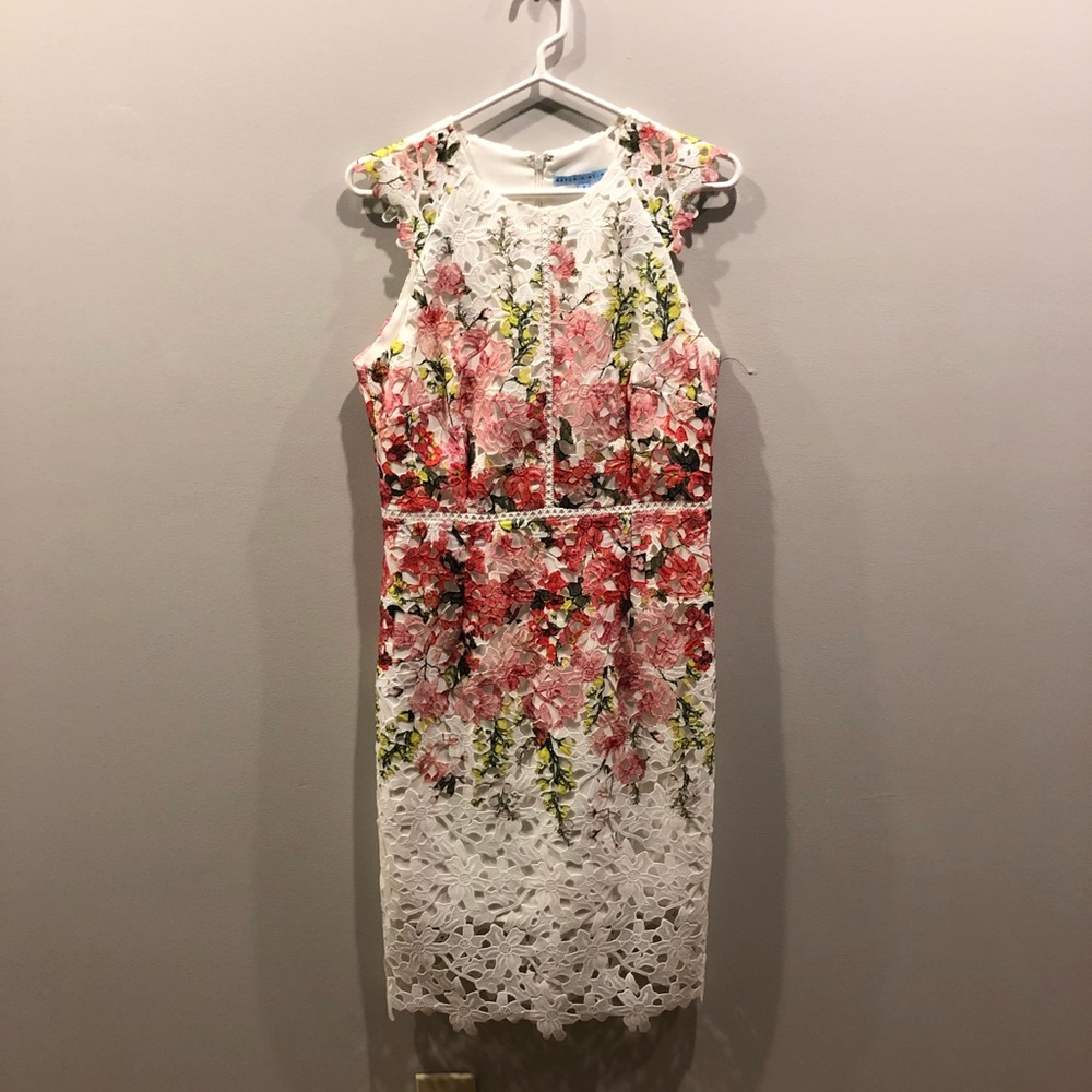 Antonio Melani Floral Dress